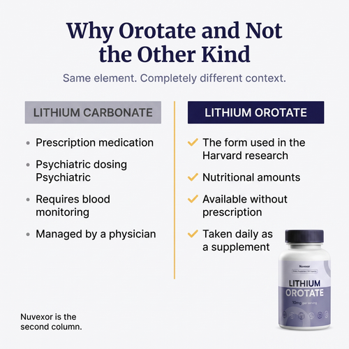 Lithium Orotate alz