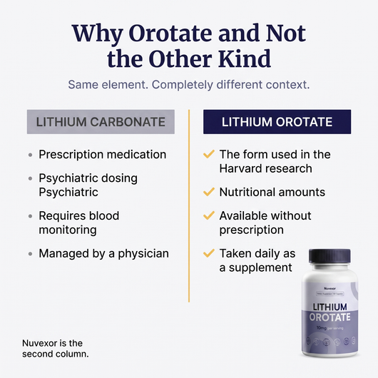 Lithium Orotate alz