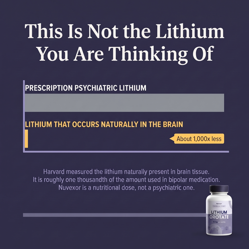 Lithium Orotate alz